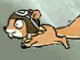 Fly Squirrel Fly